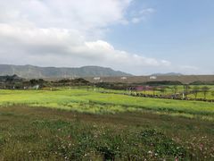 -光明小镇欢乐田园