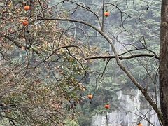 -丹山赤水风景名胜区