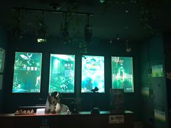 -S Team剧情密室(杭州龙翔桥店)