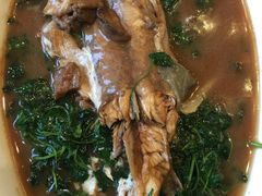 红烧河豚-鸿运酒楼