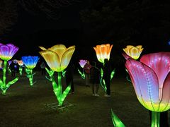 -洛阳市隋唐城遗址植物园
