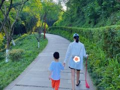 -重庆彩云湖湿地公园