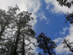 -瓦屋山景区