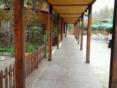 -长兴岛郊野公园农场食堂