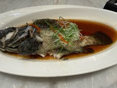-喜来登由由大酒店九州膳坊中餐厅