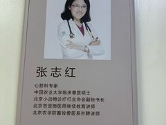 -美联众合动物医院·24h转诊中心