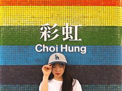 -彩虹村