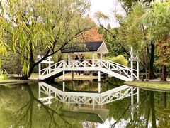 -上海共青森林公园