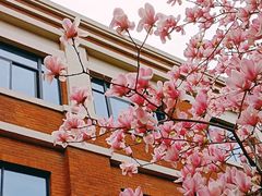 -华东政法大学(松江校区)