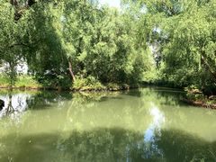 -大湾区中央湿地公园