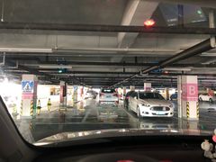-上海海昌海洋公园-停车场