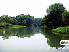 -西溪国家湿地公园