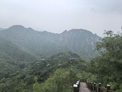 -大岭沟猕猴桃谷风景区