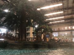 -南宫温泉水世界