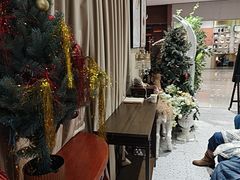 -海马体照相馆(佛山岭南站店)