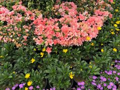 -合肥三国新城遗址公园