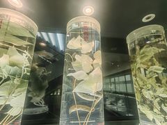 -广东中医药博物馆