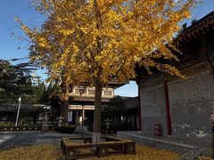-法门文化景区