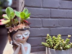 -庐灶江南·江南菜·四合院Bistro(东直门雍和宫·原华侨宾馆店)
