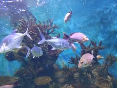 -多彩贵州城极地海洋世界