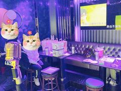-纯K(打浦桥店)