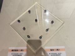 -巴音郭楞蒙古自治州博物馆