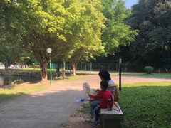 -三水森林公园