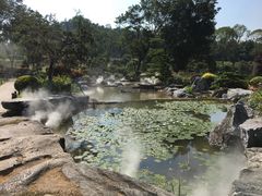 -东莞植物园