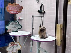 -FAELING PETS美天灵宠物(富力广场店)