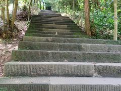 -凤栖山