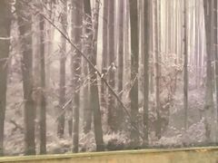 -茅庐毛血旺(烟台大悦城店)