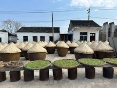 -苏州市吴中区光福窑上花果蜜饯厂