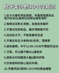 -Fundi张玉珊修身堂·indiba·BTL科技瘦身