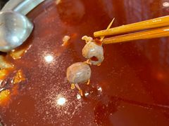 -冯记香辣兔火锅(茶店子总店)