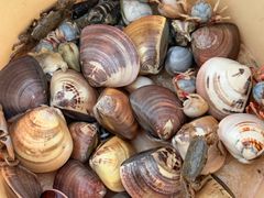 -北海金海湾红树林生态旅游区