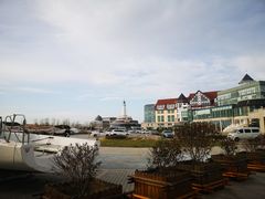 -海合安青岛极地海洋公园