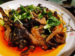 养生乌鸡爪-井水小厨·湘菜(活力广场店)