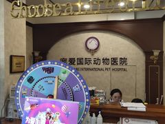 -宠爱国际动物医院· 猫科· 外科·中兽医(长白店)
