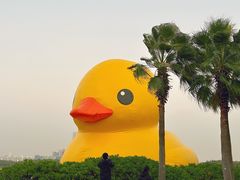 -深圳人才公园