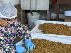 -苏州市吴中区光福窑上花果蜜饯厂