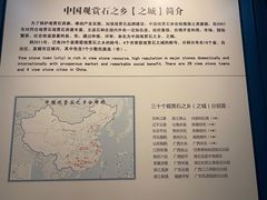 -中华赏石园