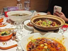-杨氏青龙虾·羊蝎子(托乐嘉店)
