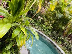 -碧桂园润杨溪谷温泉酒店