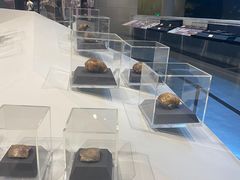 -北京周口店北京人遗址博物馆