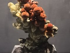 -青田石雕博物馆