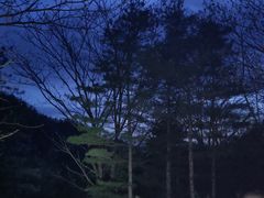 -秦岭风景区