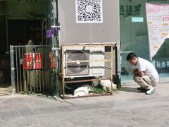 -沐沐家宠物(成寿寺店)