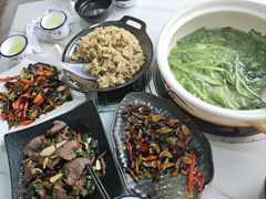 -蘑统田下·野生菌火锅