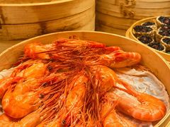 -初色海鲜自助(万丰路店)