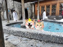 -金孔雀温泉旅游度假村